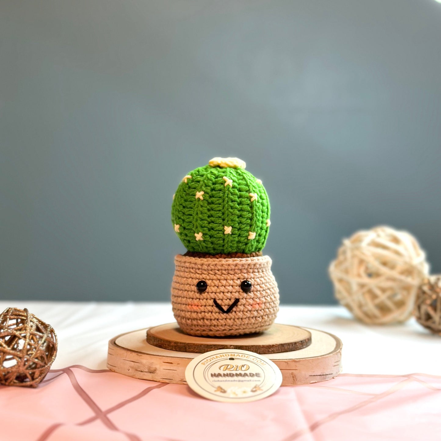 Ready To Ship, Handmade Cactus Gift, Crochet Cactus, Amigurumi Cactus, Faux Plant, Cactus Decor, Potted Cactus