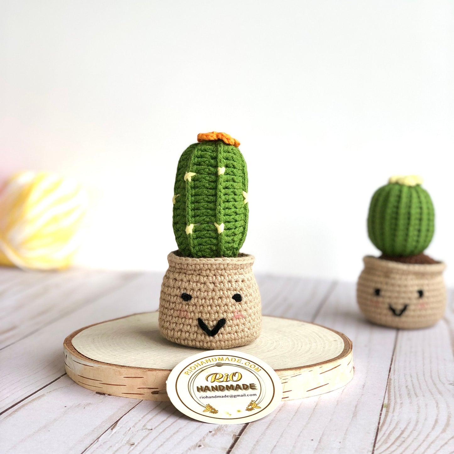 Ready To Ship, Handmade Cactus Gift, Crochet Cactus, Amigurumi Cactus, Faux Plant, Cactus Decor, Potted Cactus