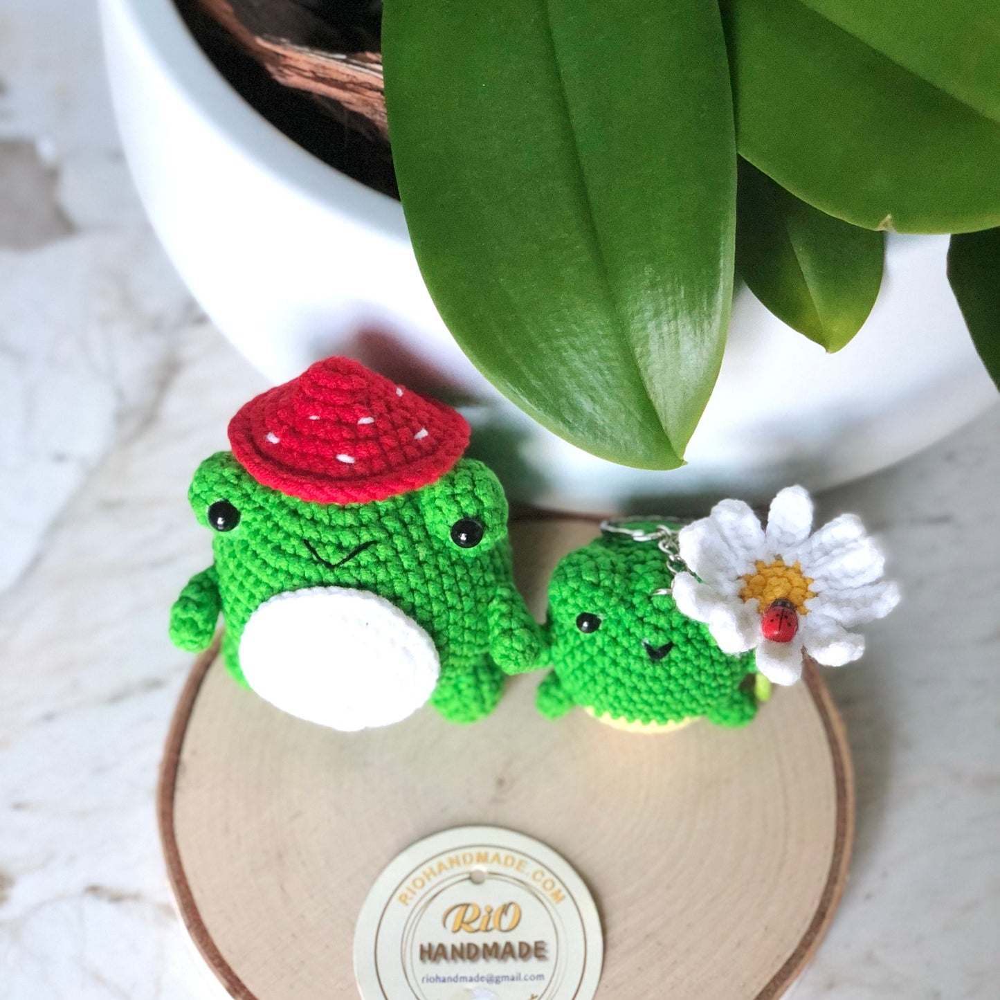 Rio Handmade yarn cotton frog mushroom crochet, amigurumi frog with daisy, cute frog, cute frog plush, home decor, adult hobby