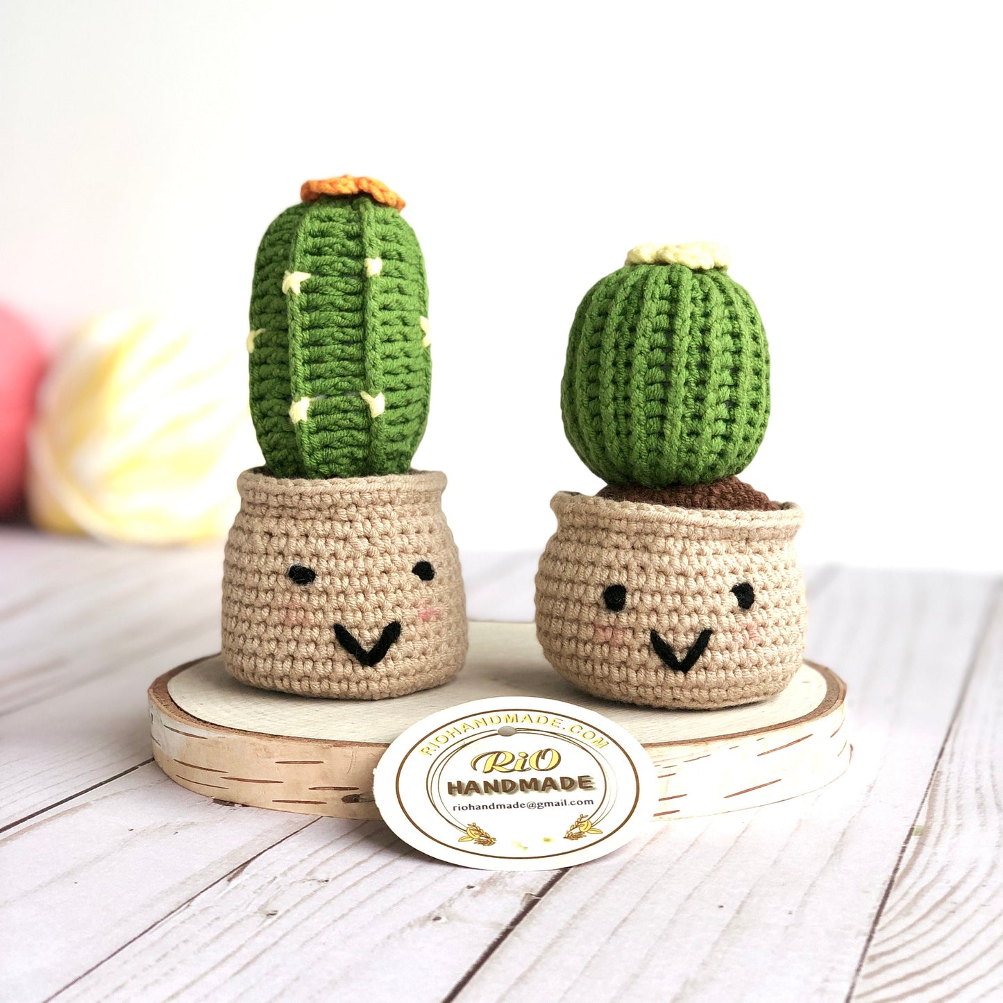 Ready To Ship, Handmade Cactus Gift, Crochet Cactus, Amigurumi Cactus, Faux Plant, Cactus Decor, Potted Cactus